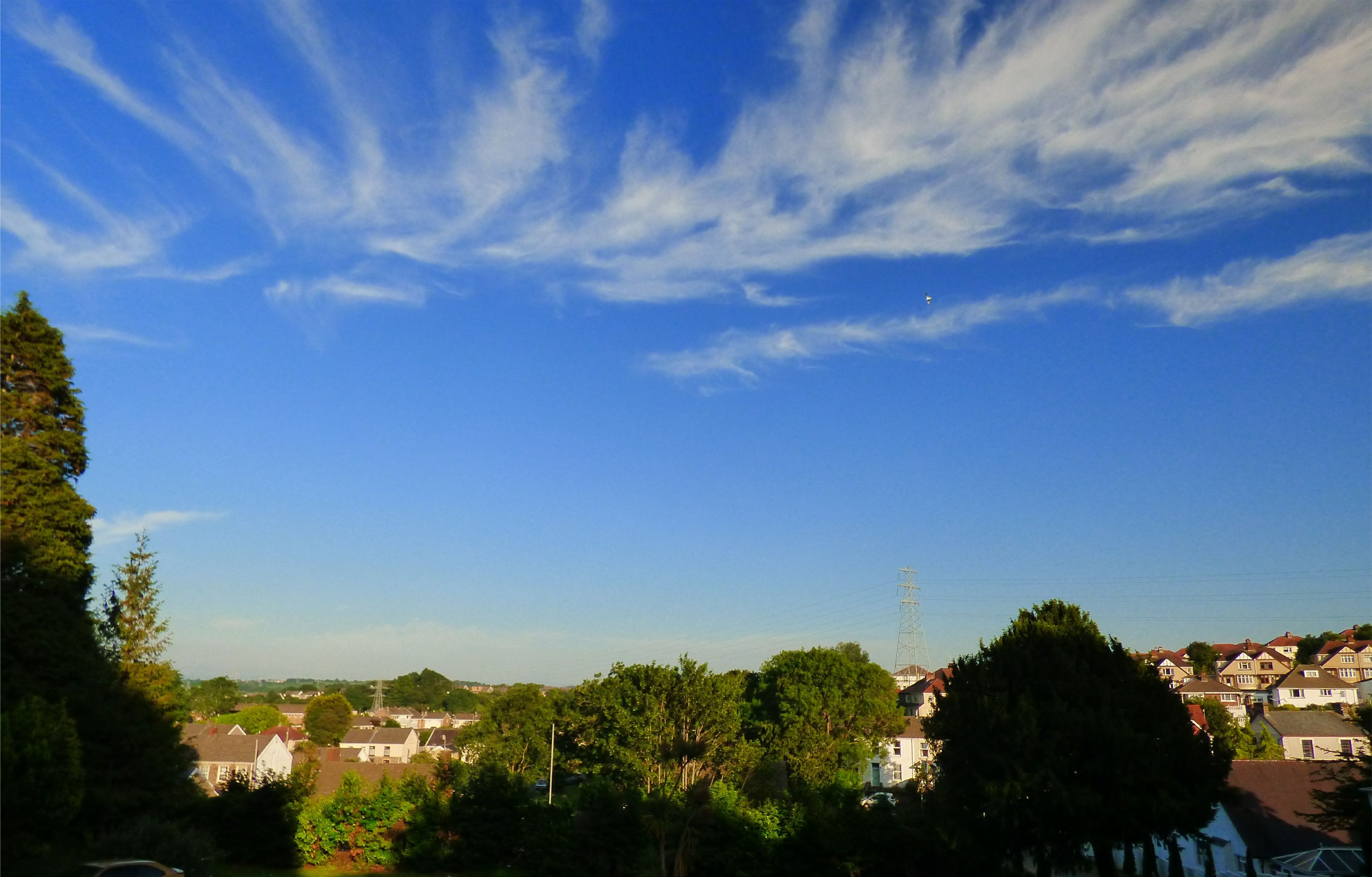 Diplomat Hotel View